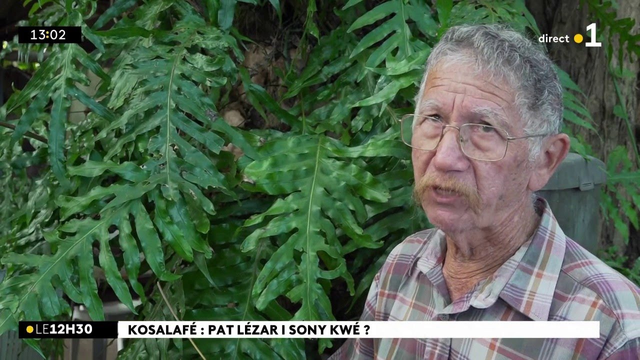 Kosalafé ! Kosa i sony kwé ? Nout naturaliste i di anou toute su pat lézar !