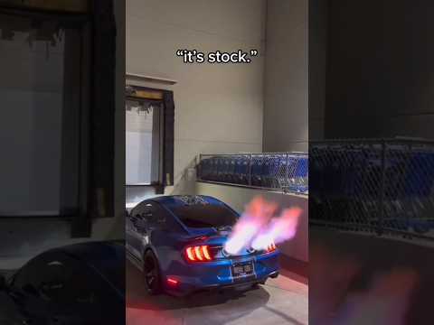 لا ياگلب شفت البخت     ههههههههه مضحك جدا   كوميدي مضحك ههههه