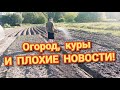Обычное деревенское видео с огородом и курами. Первый урожай.Пока дачу не продаём.Очень жалко кошку😢