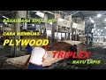 Proses pembuatan Triplex / Plywood / Kayulapis ???