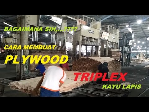 Proses pembuatan Triplex / Plywood / Kayulapis ??? - YouTube