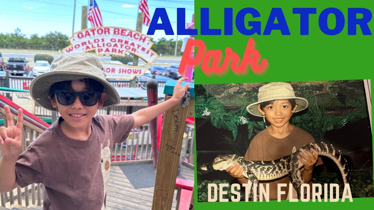 Alligator Park in Destin Florida