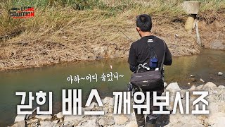 가을 시즌! 지류권에 숨었다가 못 빠져나간 배스를 찾아라_[LURE ADDITION #2-16]