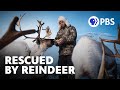 Reindeer, Sámi Culture, and Climate Change