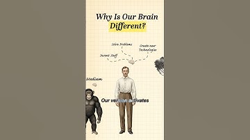 Why Is Your Brain So Special🧠 #shorts