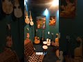 Rababs Guitars Shortvideo Video Short Shorts Shortsfeed Rubab Rabab Guitar Music