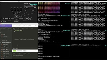 traffic steering by BGP control