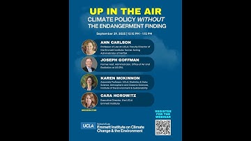 Up in the Air: Climate Policy Without the Endangerment Finding