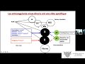 Anticoagulants oraux directs aod  nouveau paradigme ou nigme 