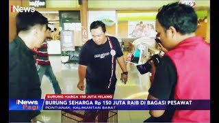 Burung Seharga Rp150 Juta Hilang di Bagasi Pesawat Garuda - iNews Pagi 20/12