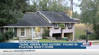 'Guns, Green, and Gators' found in Picayune man's home, police say