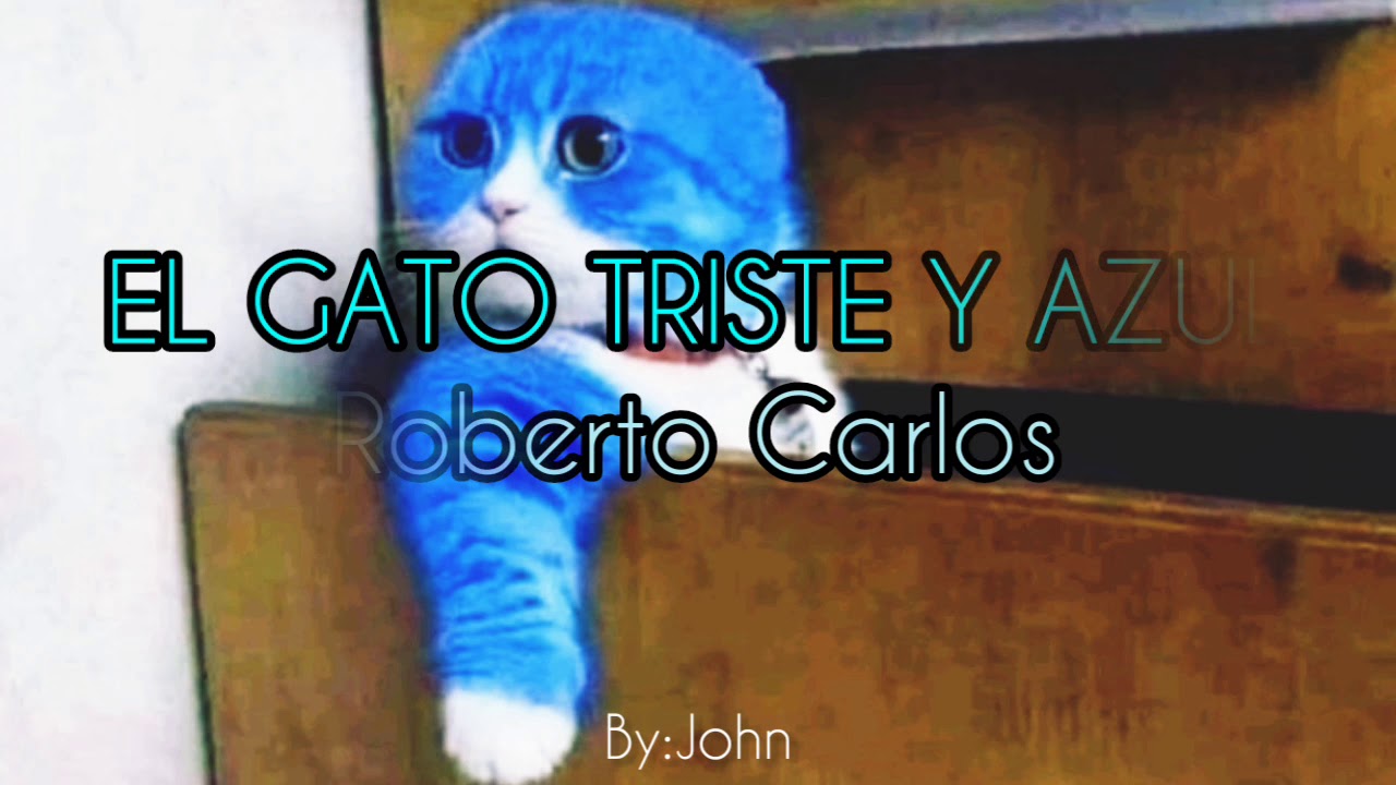 Él Gato Triste y Azul - Roberto Carlos (letra) - YouTube