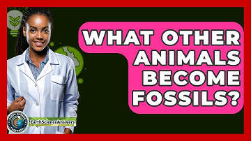 What Other Animals Become Fossils? - Earth Science Answers