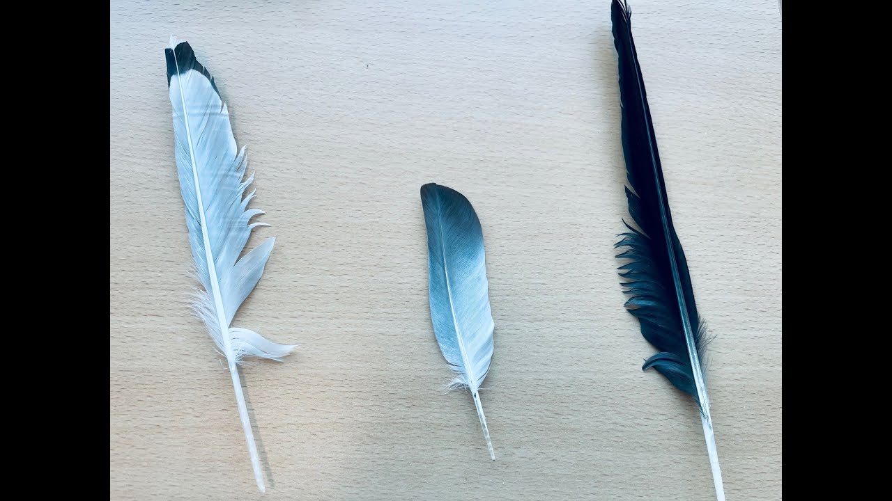 How do Others See You 🤷‍♂️ vs Who you REALLY are? 👀😉Intuitive Pick-a-card Timeless Reading🌹