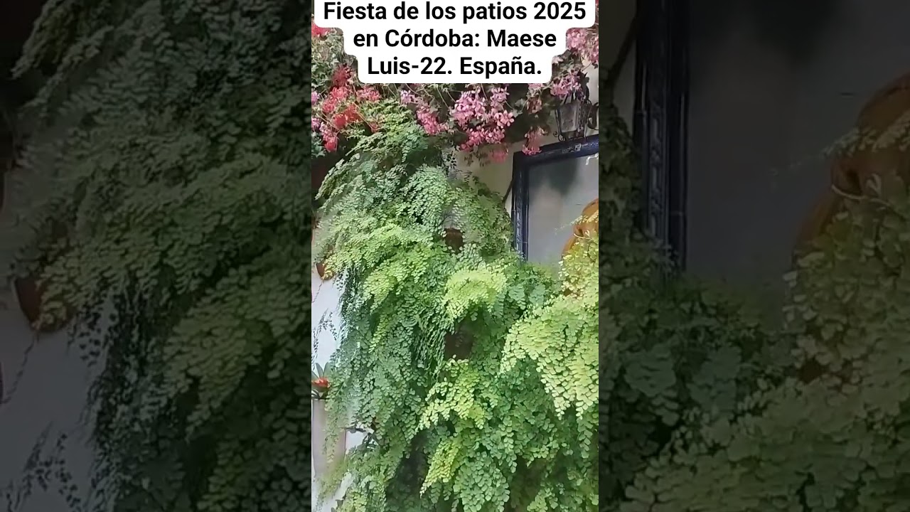 FIESTA DE LOS PATIOS 2025 EN CÓRDOBA: MAESE LUIS-22. España.