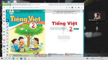 TIẾNG VIỆT 2:  VIẾT: VIẾT VỀ TRANH ẢNH VẬT NUÔI. TRANG 9.  SÁCH CÁNH DIỀU.