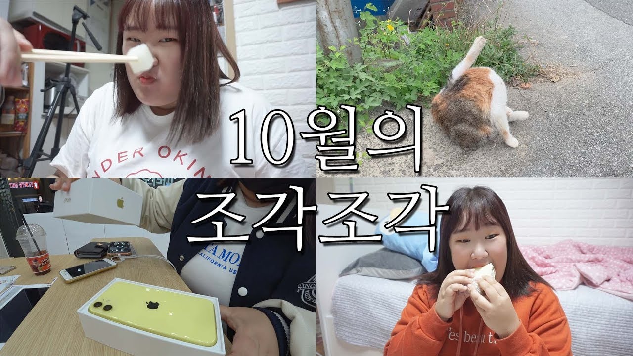 2019년 10월의 조각조각 브이로그 -VLOG