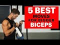 Best Biceps Exercises for Building Muscle -JP