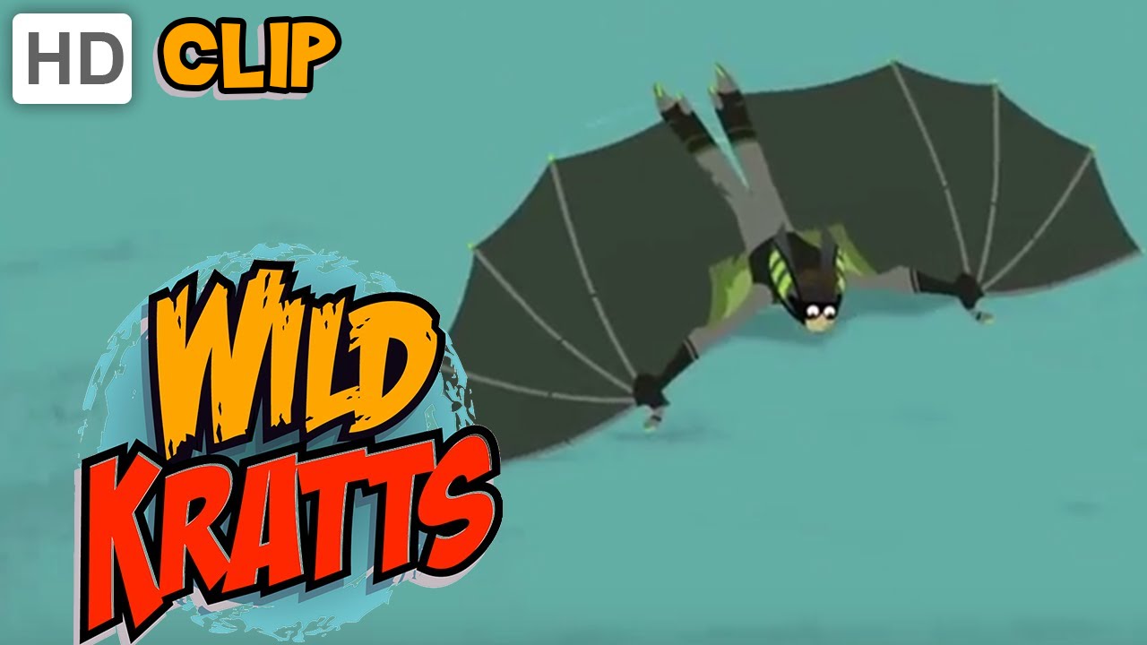 official channel for icc world cup 2019 Wild Kratts - Follow That Bat