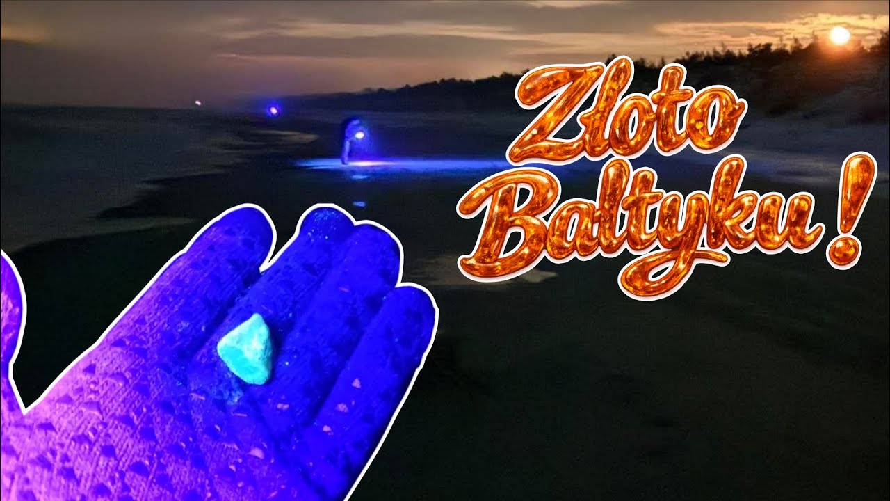 Poszukuję bursztynu na Mierzei Wiślanej !!! Złoto Bałtyku świeci! Latarka UV daje radę 