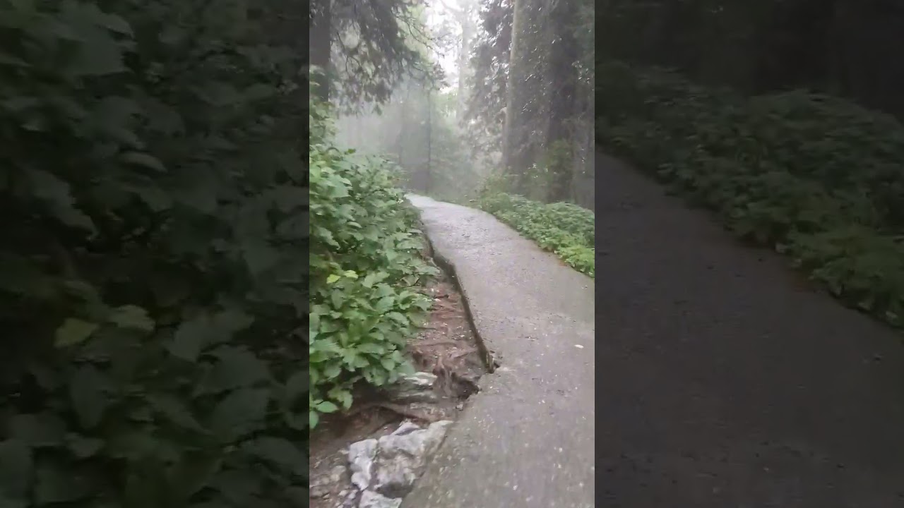 exploring steak path walk 4k original creating fun short videos | exploring pakistan|