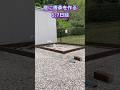 【庭に書斎を作る6,7日目】木材の固定、動画内容の訂正??　#小屋　#セルフビルド 　#shorts
