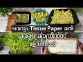 ഇലക്കറികൾ വളർത്താം ഇനി ടിഷ്യു പേപ്പറിൽ | DIY How To Grow Microgreens Without Soil using Paper Towel