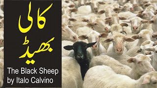 the black sheep by italo calvino summary the black sheep by italo calvino summary