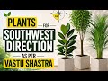 दक्षिण-पश्चिम दिशा में कौन से पेड़-पौधे लगाएं ~ वास्तु ~Vastu tips for Plants in Southwest direction