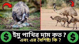 How much does an emu bird cost? And how to raise it. Where to buy it! emu bird price in Banglades...