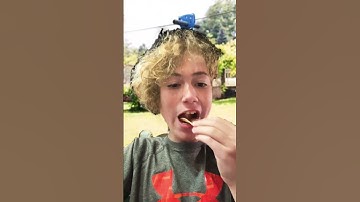 Show a picture of how you almost died! (read pinned comment)