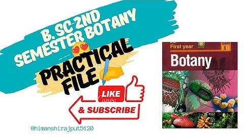 B. SC 2nd semester Botany practical file work 2022 to 2023 ✍️#viral #botany #practical #file #bsc