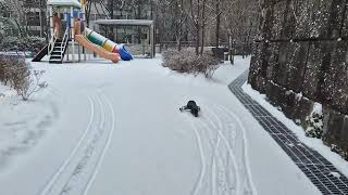 3D프린터로 만든 RC 스노우모빌 3D printed RC snowmobile