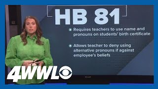 Breakdown: Two anti-LGBTQ bills advance to Louisiana House
