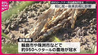 【能登豪雨から1週間】農作物にも大きな被害…新米の出荷に影響