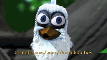 Talking Larry the Bird - Talking Friends Cartoon Video for Children