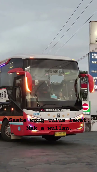 saate wong tulus tampil yo ora mak wullan #religion #storywa #automobile #bismania