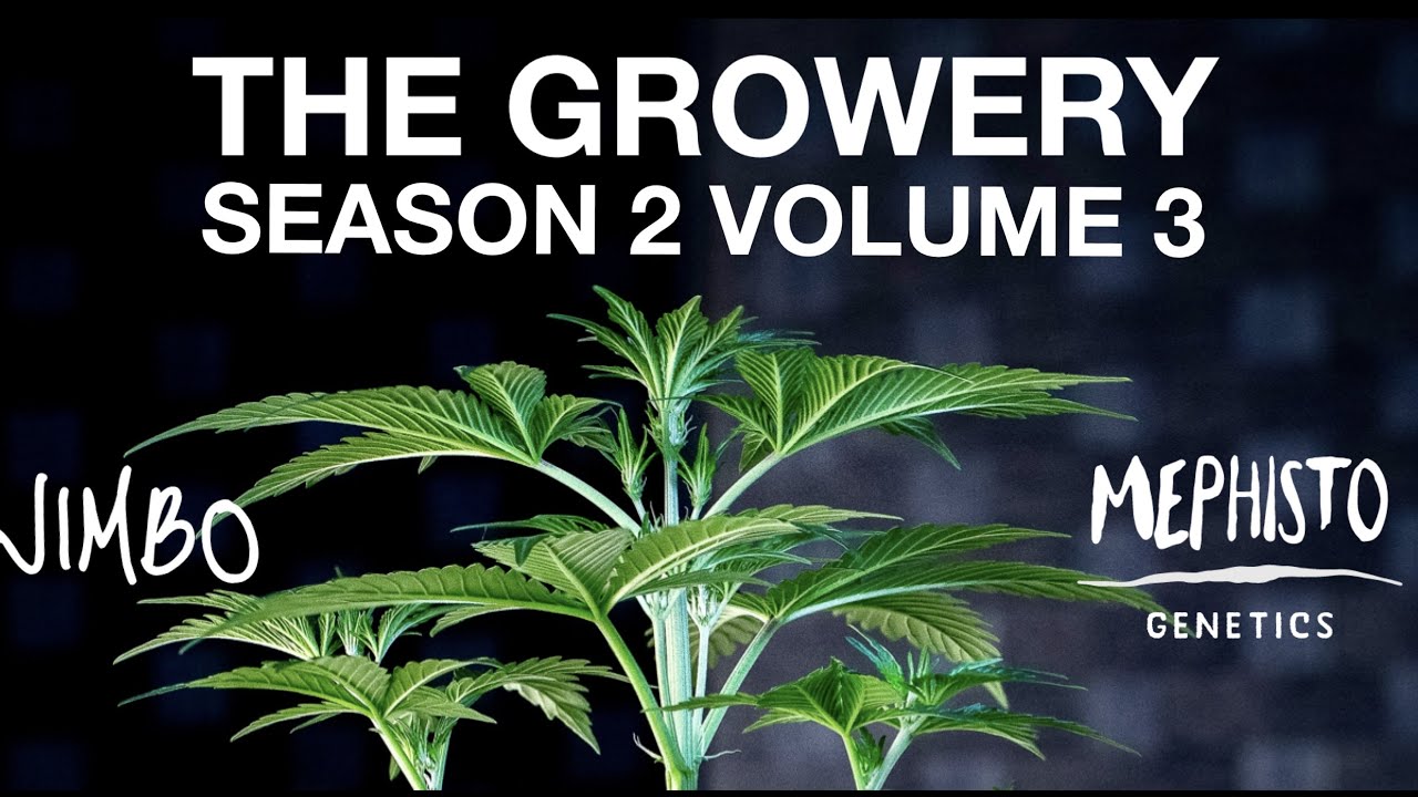 Water Tuck Stretch Repeat