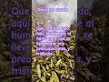 #AblandoConElHumo