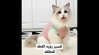 تفسير رؤيه القطه فى المنام للمطلقه عمان