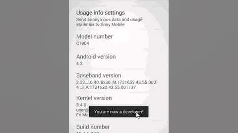 How to access the Developer Options within the Settings of your Android 4.3 and up device