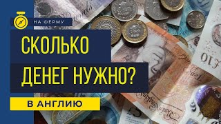 Затраты в Англию на ферму | Работа в Англии на ферме