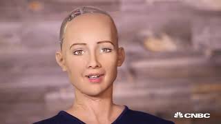 #ALM102DC Assessment 3 Artificial intelligence