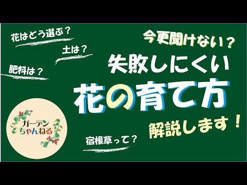 まずはここから！普通の花の育て方解説