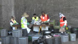 Waste Study I Talking Trash