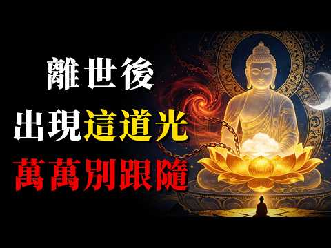人死後走向那道光，接著會見什麼？佛門塵封千年的輪回實錄揭秘：看懂這三個細節，今生逆天改命！#人死後會看到什麼 #瀕死體驗真相 #佛門輪回實錄 #阿賴耶識 # 業力之光 #如何面對死亡 #往生淨土