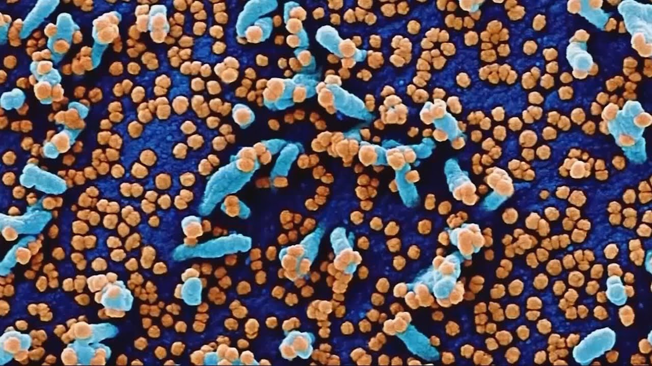 News Update: Omicron variant now in Arizona