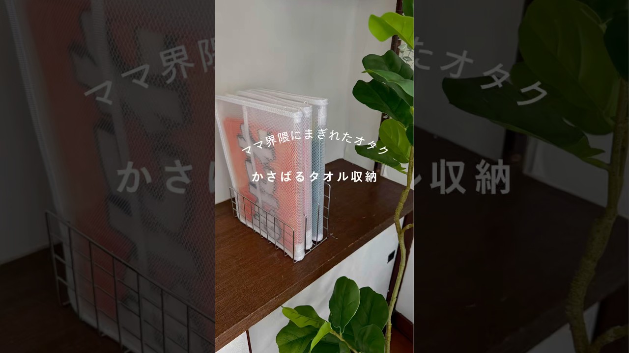 【グッズ収納】タオルかさばるから立てて収納してみた
