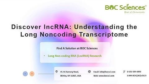 Long Noncoding RNA (lncRNA) - Discover lncRNA - Visualize the Fascinating Roles of lncRNA