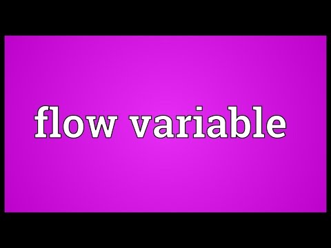 Flow variable Meaning @adictionary3492